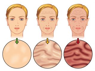 etapas de envellecemento da pel